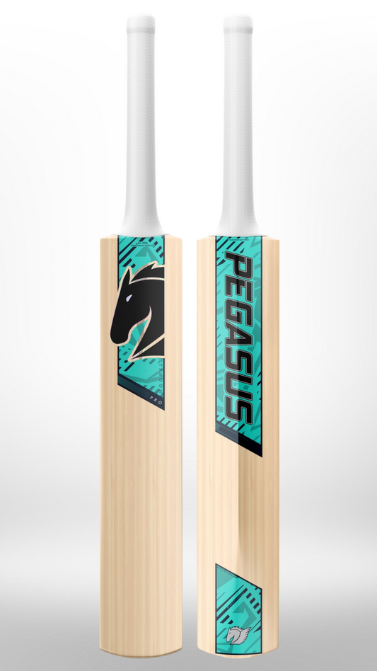 Typhoon Players Edition Cricket Bat
