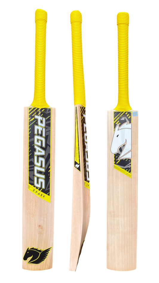 Spark Limited Edition Cricket Bat