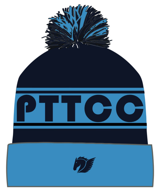 Port Talbot Town CC