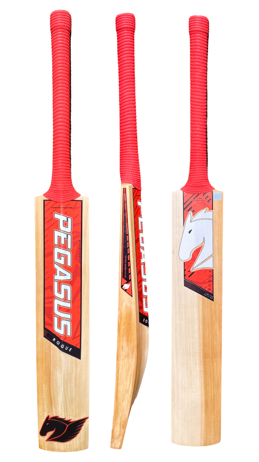Rogue 5 Star Cricket Bat