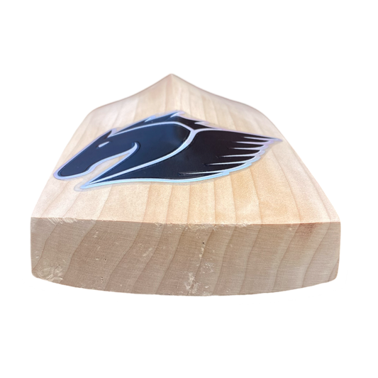 Obsidian Players Edition Cricket Bat