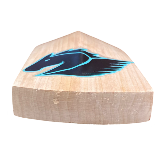 Typhoon Players Edition Cricket Bat