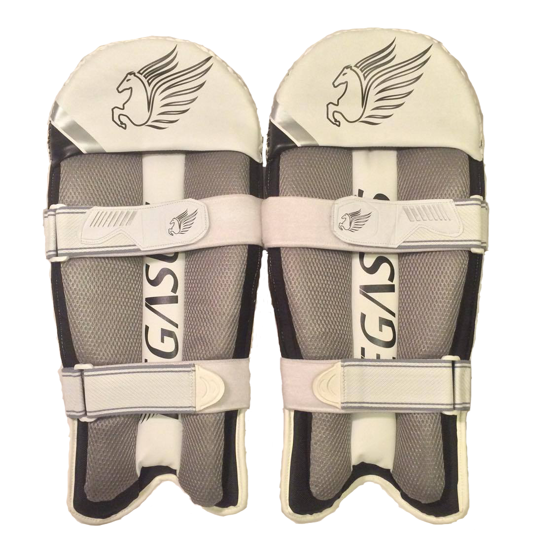 Players Wicket Keeping Pads