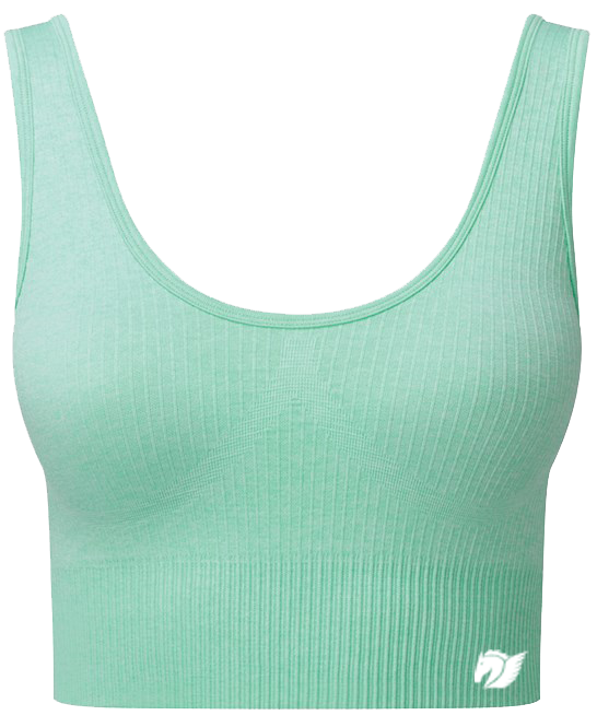 Ribbed Seamless Multi-Sport Bra - Mint Melange