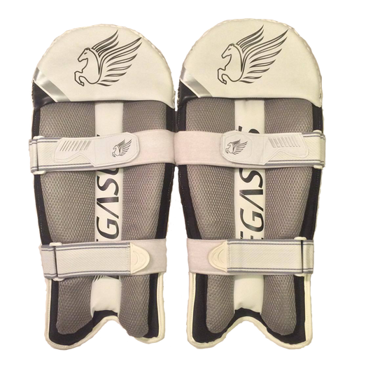 Players Wicket Keeping Pads